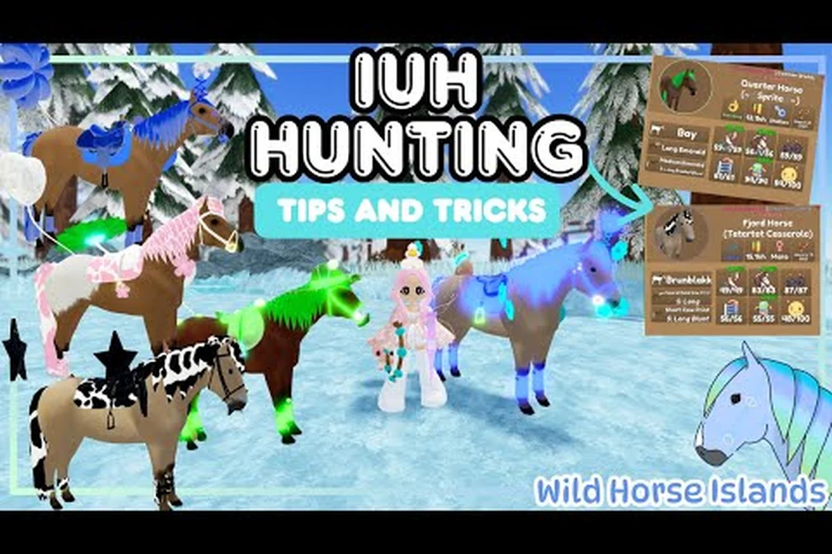 Wild Horse Islands How to Catch a Horse: Wild & Herd Tips